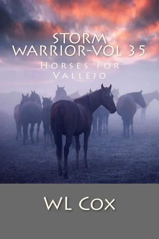 Storm Warrior Vol 35: Horses For Vallejo